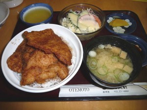 katudon