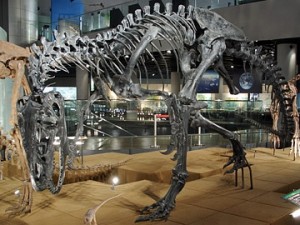 福井県立恐竜博物館 福井県立恐竜博物館